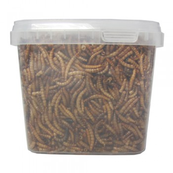 Meelwormen 75 gram