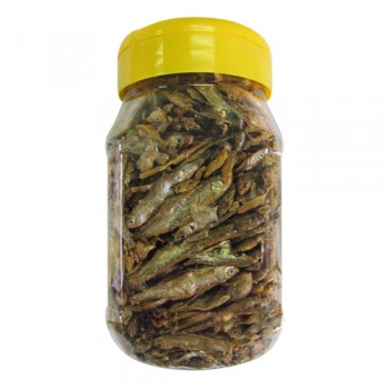 sadientjes pot klein