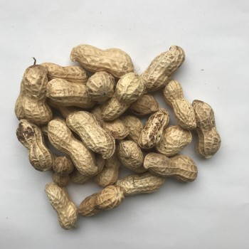 Pel pinda`s Zak á 250 gram