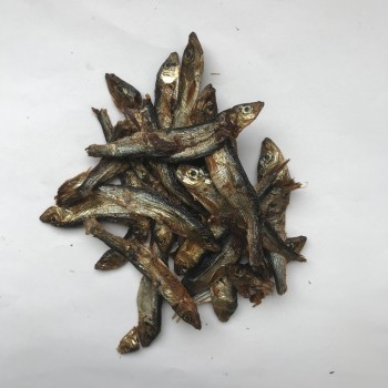 Vis trainers 60 gram (spiering)