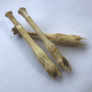 Lamspoten