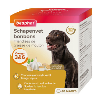 Schapenvet knoflook Medium